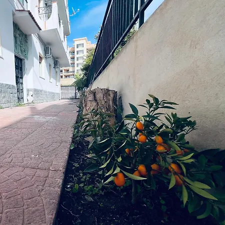 Pina Reggio Calabria